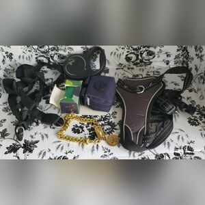 Dog Pack with small gold stained collar.